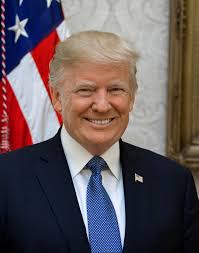Portrait of President Trump